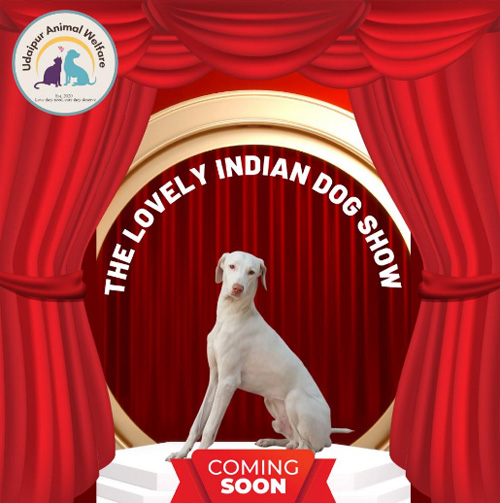  उदयपुर में आयोजित होगा भारतीय नस्ल के श्वानों का डॉग शो