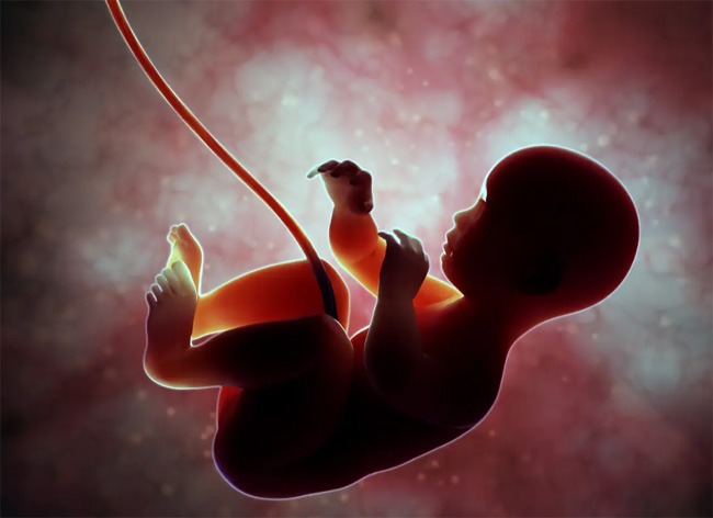  मॉ के गर्भ मे ही बच्चो मे संस्कार का बीजारोपण होता है